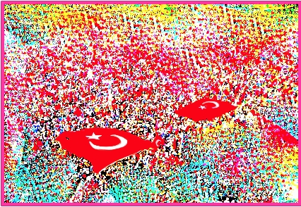 A.P. ASTRA – Turkish Flags